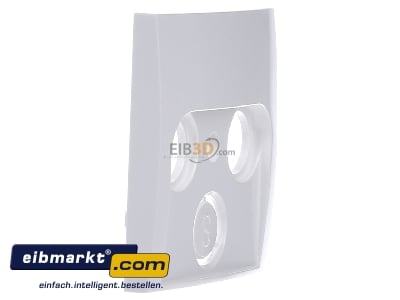 View on the left Berker 12038989 Central cover plate
