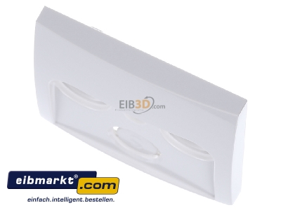 View up front Berker 12038989 Central cover plate
