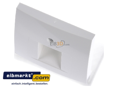 View up front Berker 14078989 Central cover plate UAE/IAE (ISDN)
