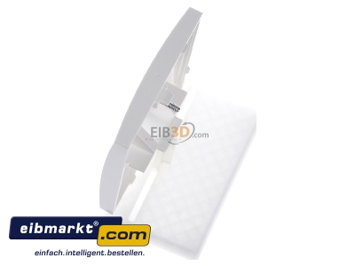 View top right Berker 14078989 Central cover plate UAE/IAE (ISDN)
