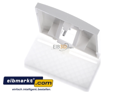 Top rear view Berker 14078989 Central cover plate UAE/IAE (ISDN)
