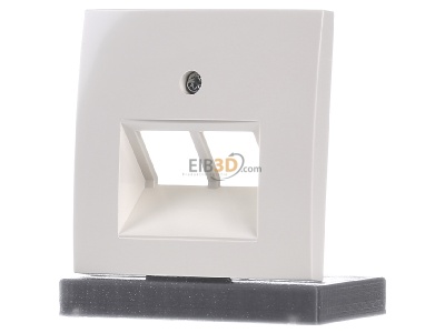 Front view Berker 14098982 Central cover plate UAE/IAE (ISDN) 
