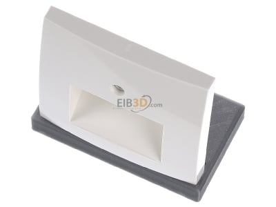 View up front Berker 14098982 Central cover plate UAE/IAE (ISDN) 
