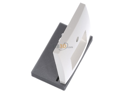 View top left Berker 14098982 Central cover plate UAE/IAE (ISDN) 
