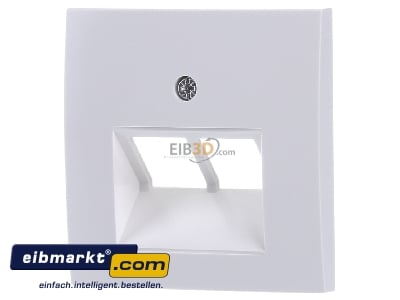 Front view Berker 14098989 Central cover plate UAE/IAE (ISDN)
