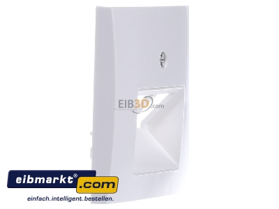 View on the left Berker 14098989 Central cover plate UAE/IAE (ISDN)
