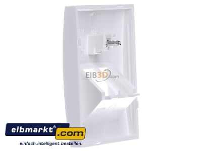 View on the right Berker 14098989 Central cover plate UAE/IAE (ISDN)
