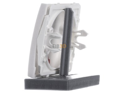 View on the right Berker 16248989 Cover plate for switch/push button white 
