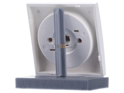 Back view Berker 16338989 Cover plate for time switch white 
