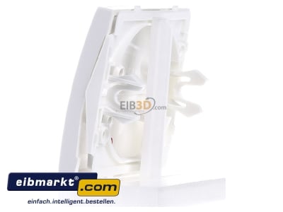 View on the right Berker 16968989 Cover plate for switch/push button white
