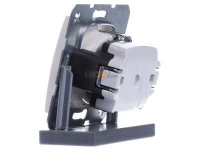 View on the right Berker 41438989 Socket outlet (receptacle) 
