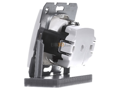 View on the right Berker 47508989 Socket outlet (receptacle) 
