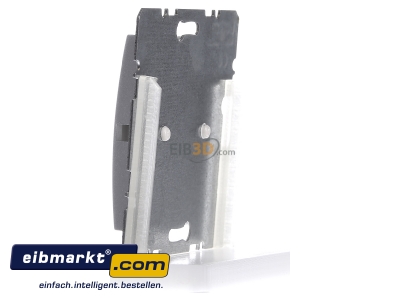 View on the right Berker 10091404 Basic element with central cover plate 
