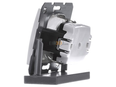 View on the right Berker 41431909 Socket outlet (receptacle) 
