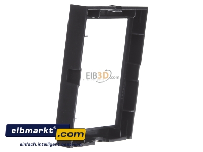 View on the right Gira 028967 Adapter cover frame
