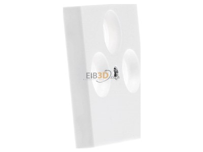View on the left Gira 086927 Central cover plate 
