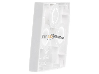 View on the right Gira 086927 Central cover plate 
