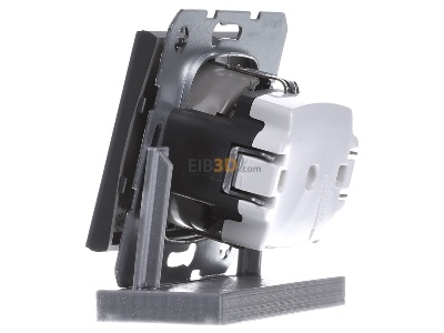 View on the right Berker 47357006 Socket outlet (receptacle) 
