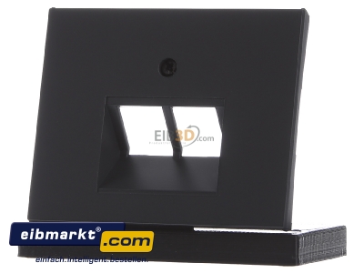 Front view Berker 14097006 Central cover plate UAE/IAE (ISDN)

