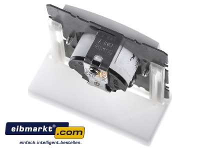 Top rear view Berker 41681909 Socket outlet NEMA white - 

