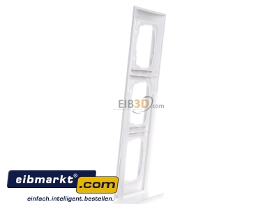 View on the right Gira 0213803 Frame 3-gang white 
