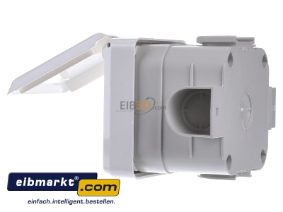 View on the right Berker 568001 Architectural socket CEE 16A-socket 6h
