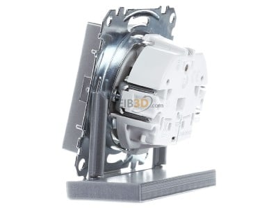 View on the right Merten MEG2500-0460 Socket outlet (receptacle) aluminium 
