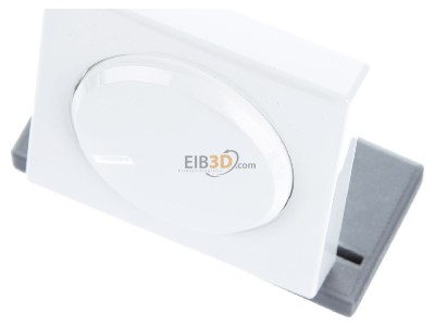 Ansicht oben vorne Busch Jaeger 6540-84-102 Zentralscheibe dav/stws fr Drehdimmer 