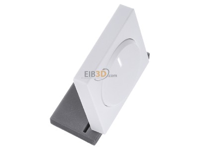 Ansicht oben links Busch Jaeger 6540-884-102 Zentralscheibe stws mt fr Drehdimmer 