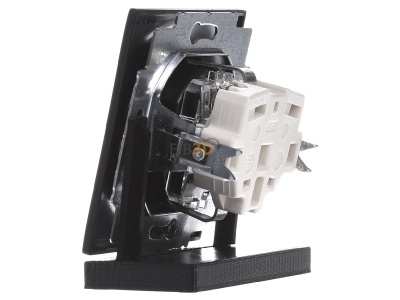 View on the right Busch Jaeger 20 EUC-775 Socket outlet (receptacle) 
