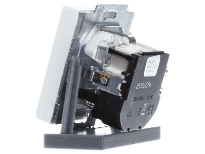 View on the right Busch Jaeger 20 EUCBL-884 Socket outlet (receptacle) 
