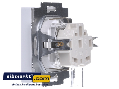 View on the right Busch-Jaeger 20 EUCKS-884 Socket outlet protective contact white

