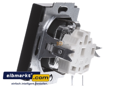 View on the right Busch-Jaeger 20 EUCKS-885 Socket outlet protective contact black
