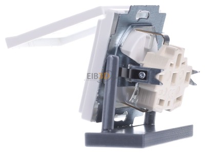 View on the right Busch Jaeger 20 EUK-884 Socket outlet (receptacle) 
