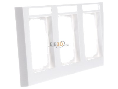 View on the left Gira 109322 Frame 3-gang white 
