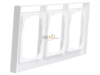 View on the right Gira 109322 Frame 3-gang white 
