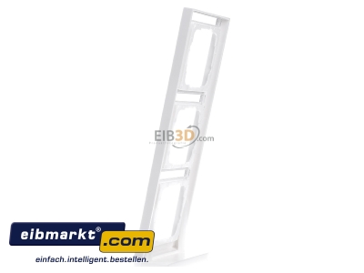 View on the right Gira 110322 Frame 3-gang white
