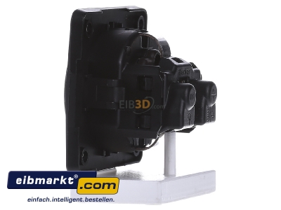View on the right Berker 947782503 Socket outlet protective contact black
