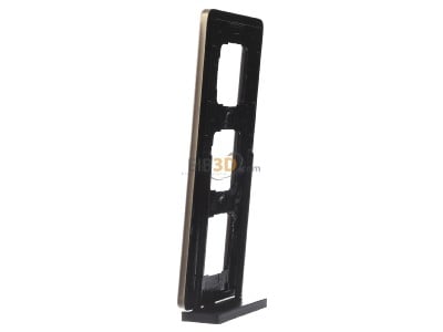 View on the right Gira 0213621 Frame 3-gang bronze 
