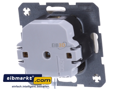 Back view Berker 41098982 Socket outlet protective contact 
