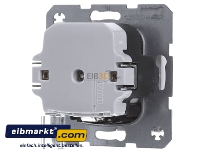 Back view Berker 41098989 Socket outlet protective contact white
