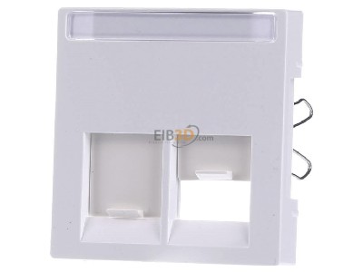 Front view Merten MEG4574-0325 Central cover plate UAE/IAE (ISDN) 
