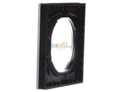 View on the right Berker 10112204 Frame 1-gang stainless steel 
