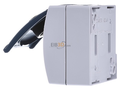 View on the right Busch Jaeger 20 EWSL-101-53 Socket outlet (receptacle) 
