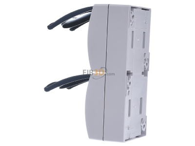 View on the right Busch Jaeger 20-02 EWN-53 Socket outlet (receptacle) 
