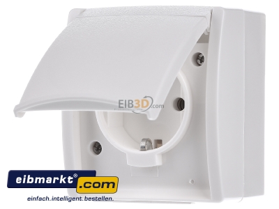 Front view Busch-Jaeger 20 EW-54 Socket outlet protective contact white - 
