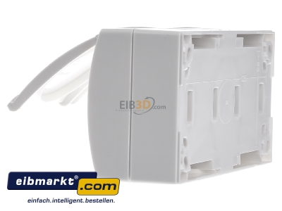 View on the right Busch-Jaeger 20/2 EW-54 Socket outlet protective contact white 
