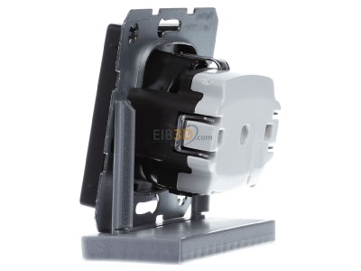 View on the right Berker 41436086 Socket outlet (receptacle) 
