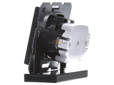 View on the right Berker 47436086 Socket outlet (receptacle) 
