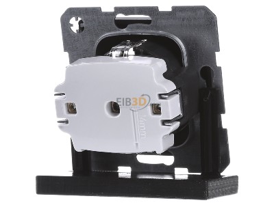 Back view Berker 47436086 Socket outlet (receptacle) 
